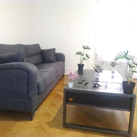 Charming Flat Center And Near The Lake Женева Екстер'єр фото