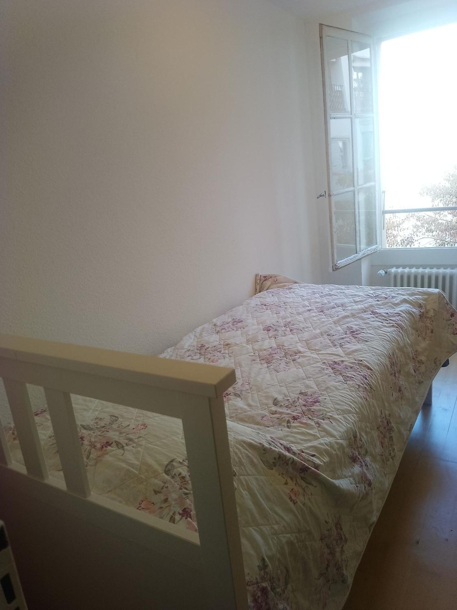 Charming Flat Center And Near The Lake Женева Екстер'єр фото