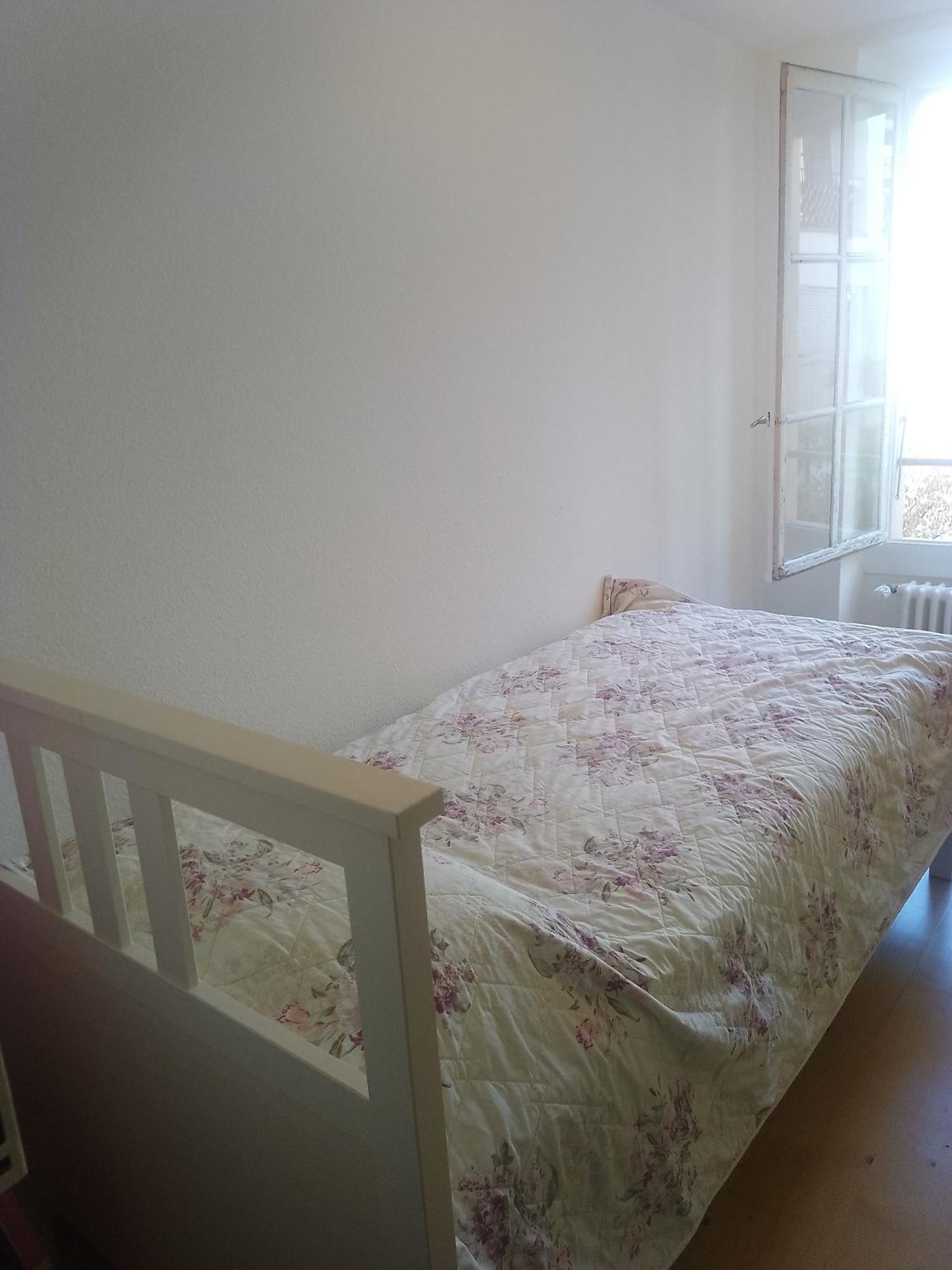 Charming Flat Center And Near The Lake Женева Екстер'єр фото