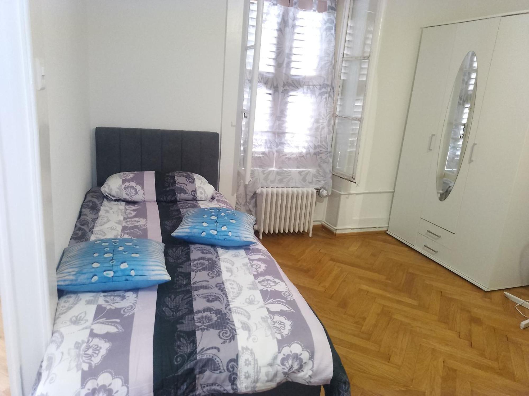 Charming Flat Center And Near The Lake Женева Екстер'єр фото