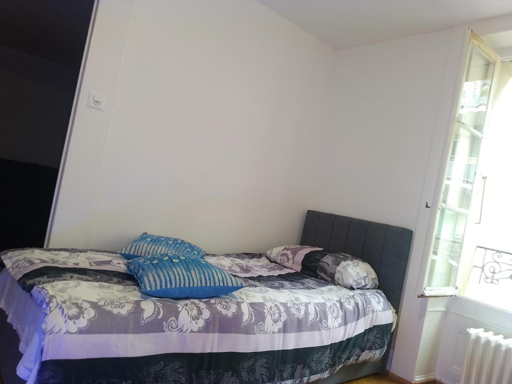 Charming Flat Center And Near The Lake Женева Екстер'єр фото